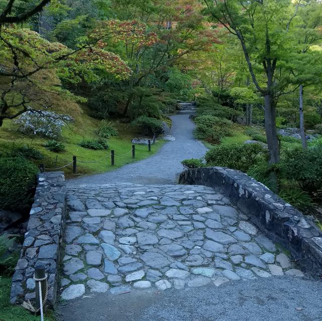 Stone Bridge, Path. Japanese Garden, Washington Park Arboretum, by Dan Keusal