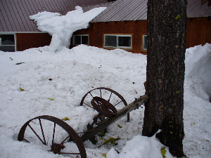 Wagon Wheel in snow