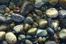 Kala Point Sea Stones (photo by Dan Keusal)